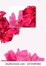 red and pink flower designs, for wedding invitation cards, and beautiful flower covers