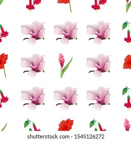 Red and Pink Ginger. Red Angel Trumpet. Red Amaryllis. Pink Magnolia. Vector illustration. Seamless background pattern. Floral botanical flower. Wild leaf wildflower isolated. Exotic tropical.
