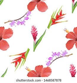 Red and Pink Ginger. Red Hibiscus. Purple Komakusa. Red Heliconia Bihai. Vector illustration. Seamless background pattern. Floral botanical flower. Wild leaf wildflower isolated. Exotic tropical.