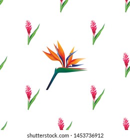 Red and Pink Ginger. Orange Strelitzia Reginae. Vector illustration. 