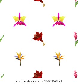 Red and Pink Ginger. Purple Amaryllis. Pink Orchid. Yellow bird of paradise Strelitzia. Vector illustration. Seamless background pattern. Floral botanical flower. Wild leaf wildflower isolated.