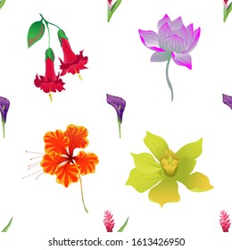 Red and Pink Ginger. Purple Calla. Red Angel Trumpet. Purple Lotus. Orange Rose Mallow. Yellow Orchid. Vector illustration. Seamless background pattern. Floral botanical flower. Wild leaf wildflower.