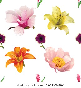 Red and Pink Ginger. Violet Petunia. Pink Magnolia. Yellow Lilium. Orange Daylily. Pink Peony. Vector illustration. Seamless background pattern. Floral botanical flower. Wild leaf wildflower.