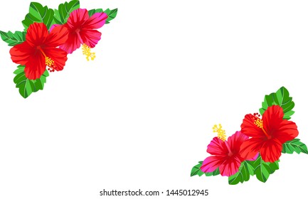 Red and pink hibiscus frame