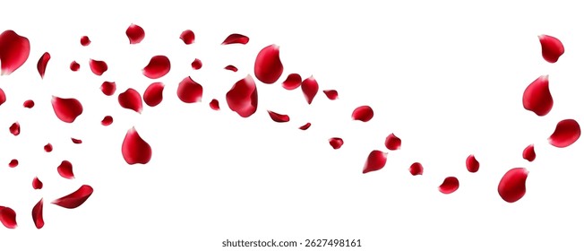Red Pink Petal Blur Vector Transparent Background. Falling Cherry Pattern. Beautiful Lotus Fall Template