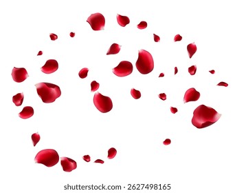 Red Pink Petal Blur Vector Transparent Background. Falling Cherry Pattern. Beautiful Lotus Fall Template