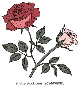 a red and pink rose.