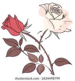 A red and pink rose .