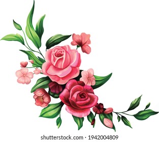 Red and pink Roses flowers in bloom isolated in white background, Artwork illustration vector