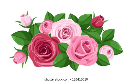 Red and pink roses, rosebuds and leaves. Vector illustration.