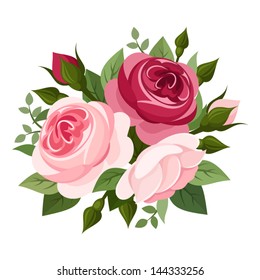 Red and pink roses. Vector illustration.