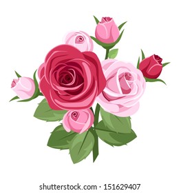 Red and pink roses. Vector illustration.