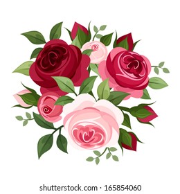 Red and pink roses. Vector illustration.