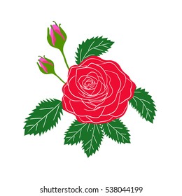 Red and pink roses. Vector illustration