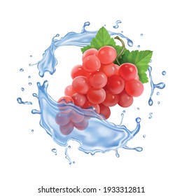 Red or pink table grapes in water splash Bunch of wine grapes realistic set