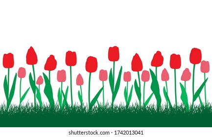 Red and pink tulips flowers in grass. Vector illustration.