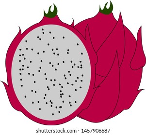 Psihaya roja, ilustración, vector sobre fondo blanco.