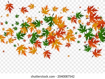 Vector transparente de fondo de planta roja. Deja El Diseño Brillante. Naturaleza marrón. Textura canadiense. Agosto Floral Amarillo.