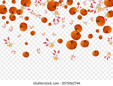 Red Plant Background Transparent Vector. Orange Image Set. Gold Rowan Cozy Illustration. Leaves Food. October Banner.