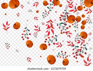 Red Plant Background Transparent Vector. Burgundy Vintage Frame. Colorful Gourd Halloween Set. Vegetable Wreath. Invitation Border.