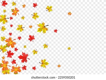 Red Plant Background Transparent Vector. Foliage Abstract Frame. Ocher Nature Floral. Wallpaper Leaves Card.