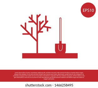Red Planting a tree in the ground icon isolated on white background. Gardening, agriculture, caring for environment.  Vector Illustration