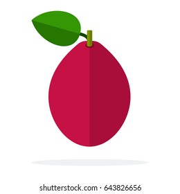 Red plum fruit with leaf vertically vector flat material design isolated on white