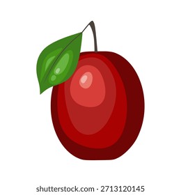 Red Plum Vector. Fresh Red Plum Illustration. Ideal for packaging, healthy food branding, fruit labels, menus, market graphics, and fresh produce designs