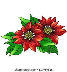 Red poinsettia