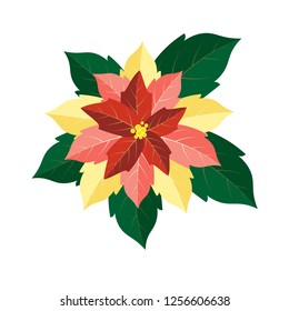 Red poinsettia. Decoration of New Year and Christmas. Illustration for cards. Traditional decoration. Isolated element. Vector illustration.