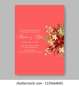 Red poinsettia fir pine flower wedding invitation Christmas party invitation poster vector winter floral wreath on pink background greeting card