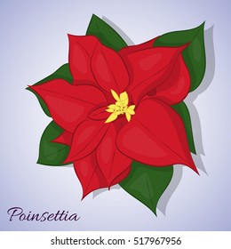 Red poinsettia flower. Christmas Star. Simple cartoon style. Vector illustration