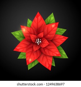 Red Poinsettia Flower with realistic Pearls. Red blossom Star plant for Merry Christmas and Happy New Year holidays decoration. 3d Bethlehem Star for Xmas winter sales, discount and greeting cards