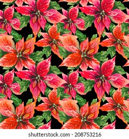 Red Poinsettia seamless pattern 