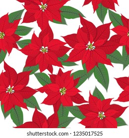 Red poinsettia vector flower Christmas seamless pattern. Pulcherrima blooming plant background. Red green traditional Christmas floral pattern with poinsettia leaves and petals.