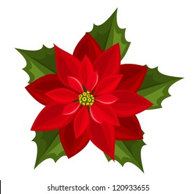 Red poinsettia. Vector illustration.