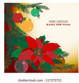 Red Poinsettia,Green background