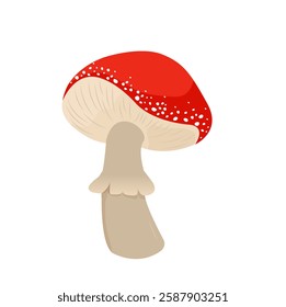 red poison mushroom amanita, toadstool - vector illustration