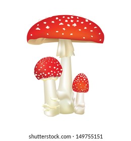 Red poison mushroom isolated on white background. Vector illustration set.