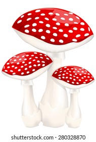 Red poison mushrooms