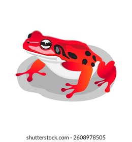 red poisonous frog vector illustration