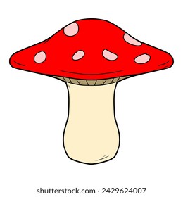 red poisonous mushroom illustration hand drawn colored vector	