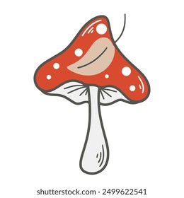 Seta venenosa roja con puntos blancos y hojas, Clipart, gráficas de Vector. Mosca del bosque agárico aislado en el fondo blanco