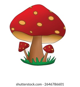 red poisonous mushrooms are in the grass