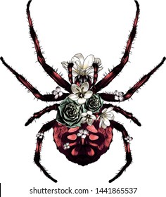 red poisonous spider top view decorated with flowers, sketch vector graphic color illustration on white background