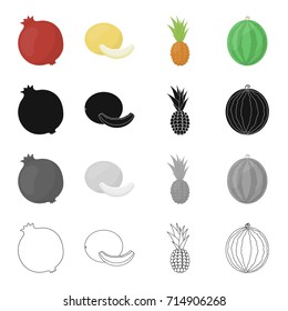 Red pomegranate, delicious melon, tropical pineapple fruit, ripe watermelon. Fruits set collection icons in cartoon black monochrome outline style vector symbol stock illustration web.