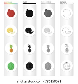 Red pomegranate, delicious melon, tropical pineapple fruit, ripe watermelon. Fruits set collection icons in cartoon black monochrome outline style vector symbol stock illustration web.