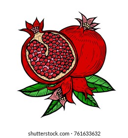 Red Pomegranate fruit, berry with flower and leafs. Hand drawn Engraved vintage retro