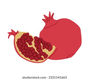 Red Pomegranate Fruit with Seeds as Traditional Istanbul Symbol Vector Illustration