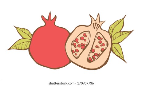 Red pomegranates. Vector illustration 